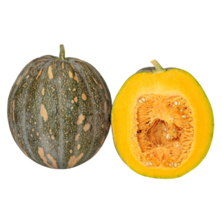 Deesha Winter Squash From Known You Seed (India)-KYI
